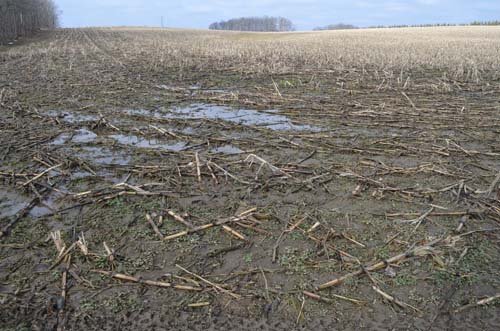 Property photo 7 - 98+/- Acres Offered in 6 Tracts or Combinations, Noble County, Indiana Farm